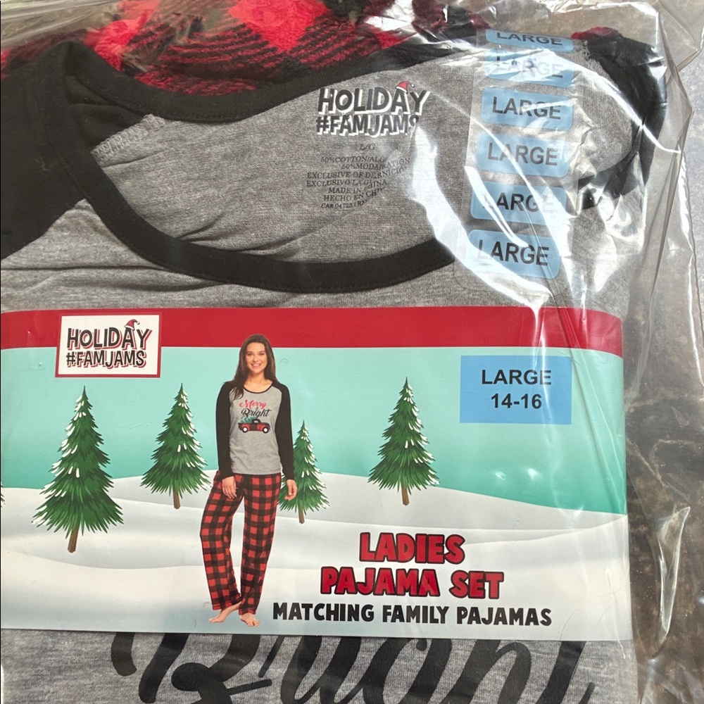 Women’s Gray black and Red Pajama Set sz L nwt